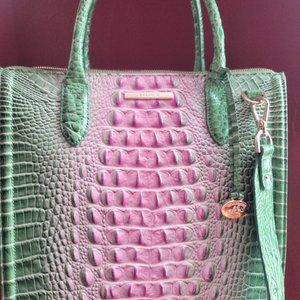 Brahmin Caroline